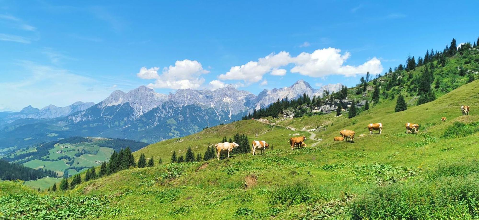 Maria Alm - Cozy & Modern Apartment Mountain View Saalfelden Екстериор снимка